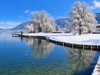 Bild 54
