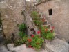 Bilde 32