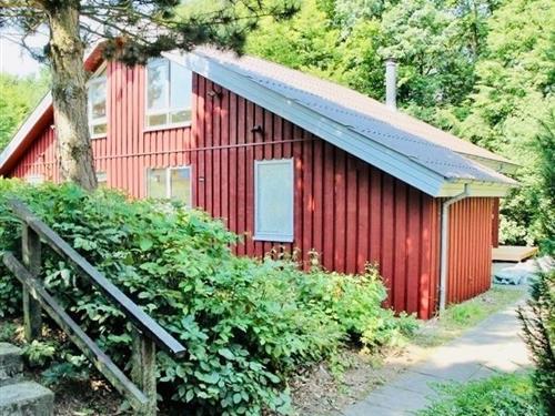 Ferienhaus - 5 Personen -  - Zum Grundberg - 32699 - Extertal