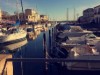 Bilde 25