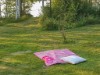 Bilde 23 - Inne