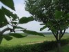 Image 23
