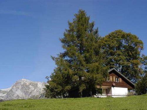 Semesterhus/Semesterlägenhet - 8 personer -  - Schwendi - 9658 - Wildhaus