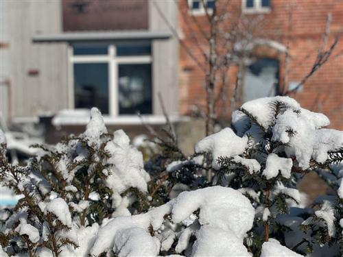 Sommerhus - 3 personer -  - Landstraße - 02979 - Elsterheide - Geierswalde