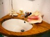 Bild 17