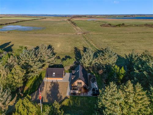 Ferienhaus - 8 Personen -  - Hybenvej - Lodbjerg Hede - 6950 - Ringköbing