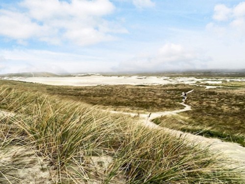 Sommerhus - 20 personer -  - Øvej - Vedersø Klit - 6990 - Holmsland Klit