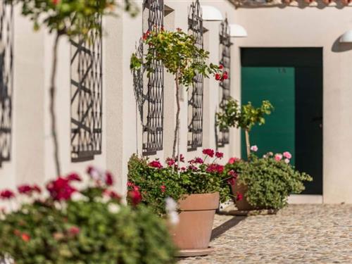 Holiday home - 2 persons -  - 23211 - Pakoštane