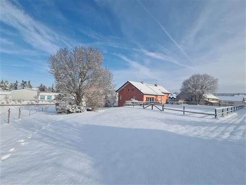 Ferielejlighed - 2 personer -  - Gartenstraße - 65558 - Kaltenholzhausen