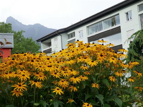 Ferielejlighed - 5 personer -  - Wagenweg 4/Top - 6780 - Schruns