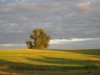 Bild 18