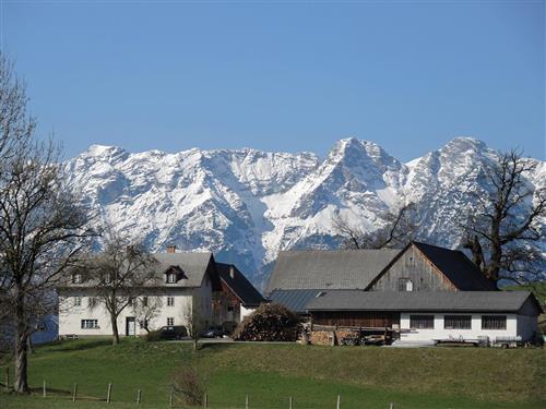 Sommerhus - 2 personer -  - Untertamberg - 4574 - Vorderstoder