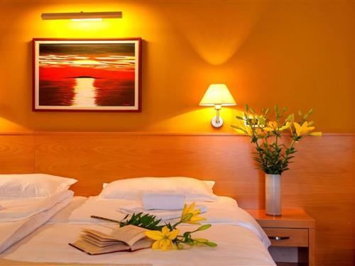 Ferielejlighed - 2 personer -  - 21330 - Gradac