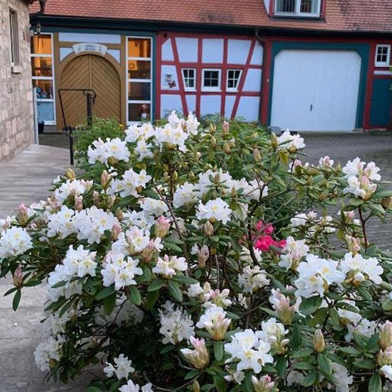  - 6 personer -  - Vorhofstr. - 91635 - Windelsbach