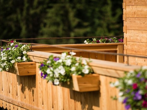 Feriehus - 4 personer -  - 5761 - Maria Alm