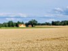Bilde 20 - Ude