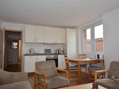 Ferielejlighed - 3 personer -  - Alte Schulstraße - 26757 - Borkum