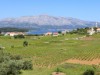 Bilde 28