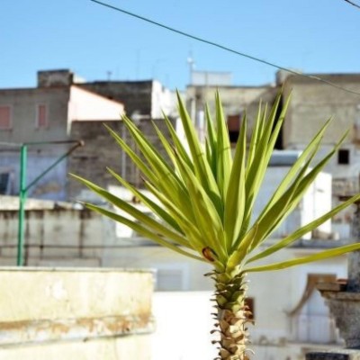 Billede 2
