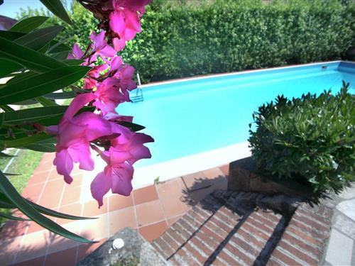 Villa - 8 personer -  - 25015 - Desenzano Del Garda