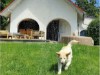 Bild 21