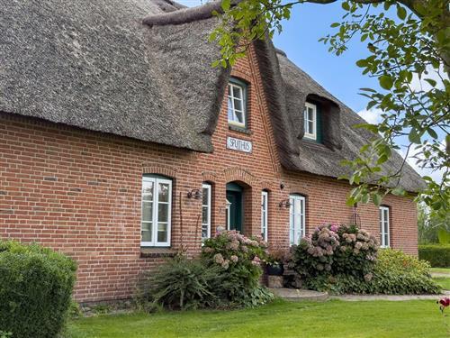 Ferielejlighed - 4 personer -  - Bodderweg - 25870 - Oldenswort