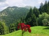 Image 28 - Outside