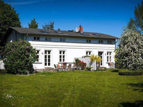 Ferienwohnung - 4 Personen -  - Neddesitz - 18551 - Sagard / Neddesitz