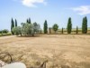 Billede 17