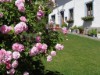 Bilde 5