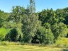 Bilde 10 - Ude
