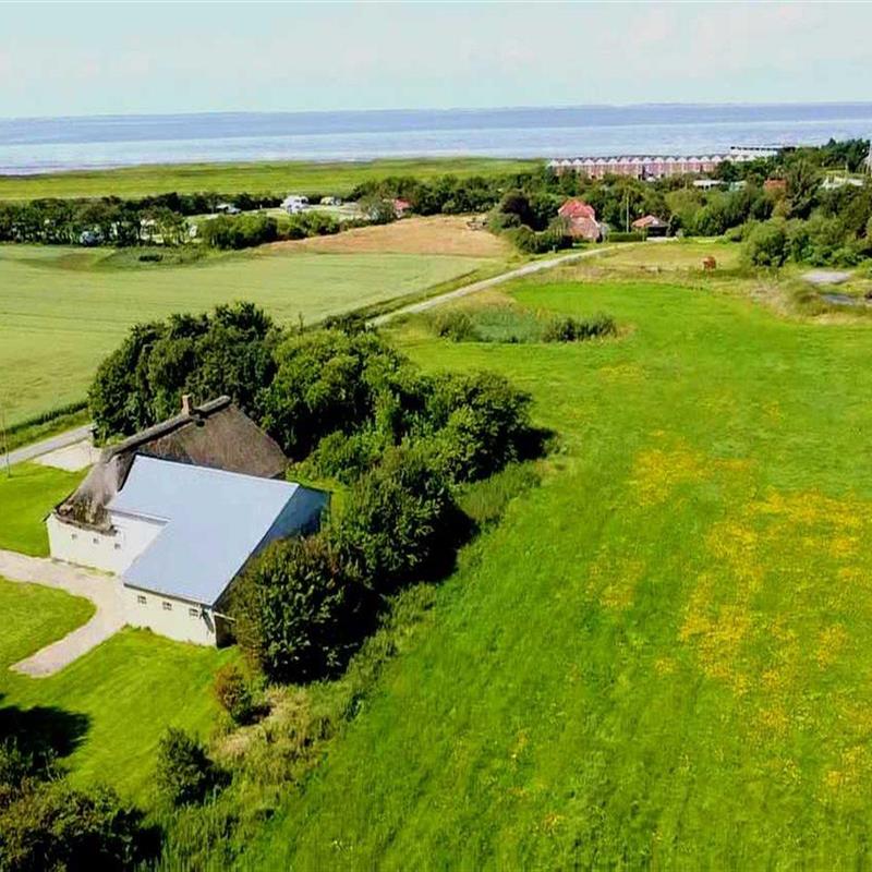 Ferienhaus - 4 Personen -  - Søndervej - 6280 - Höjer