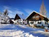Bild 52