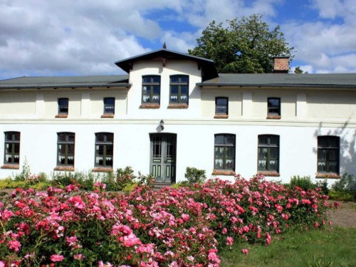 Bondegård - 6 personer -  - Kreuzkamp - 18059 - Papendorf