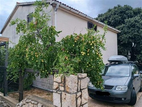 Holiday apartment - 5 persons -  - Primorska 34, Mandre - 23250 - Pag