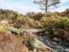 Billede 10 - Aktivitet