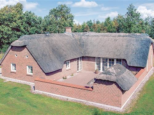 Sommerhus - 12 personer -  - Trifoliumvej - Marielyst - 4873 - Væggerløse