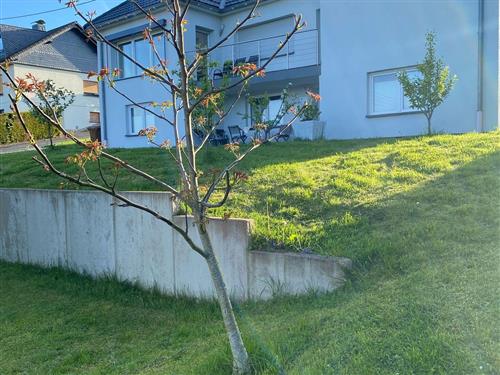 Ferieleilighet - 4 personer -  - Mittelweg - 57587 - Birken-Honigsessen