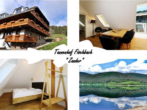 Ferielejlighed - 4 personer -  - Unterfischbach - 79859 - Schluchsee