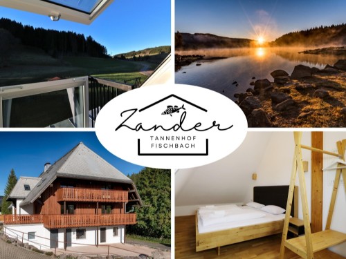 Ferieleilighet - 4 personer -  - Unterfischbach - 79859 - Schluchsee
