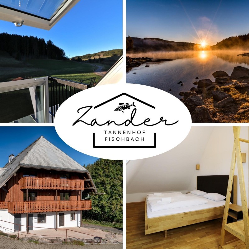 Ferielejlighed - 4 personer -  - Unterfischbach - 79859 - Schluchsee