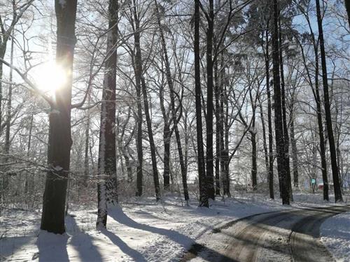 Semesterlägenhet - 3 personer -  - Cottbuser Str - 03058 - Komptendorf