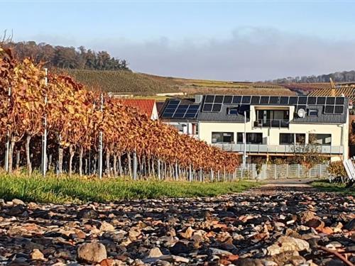 Sommerhus - 2 personer -  - 79235 - Vogtsburg-Bischoffingen