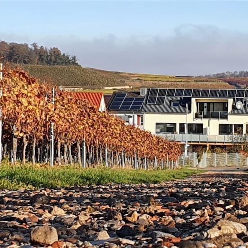 Sommerhus - 2 personer -  - 79235 - Vogtsburg-Bischoffingen