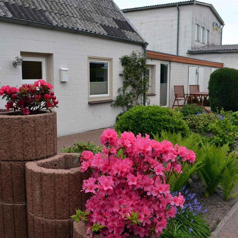 Sommerhus - 4 personer -  - Jungfernstieg - 24340 - Eckernförde