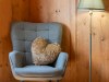 Bild 41