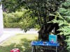 Image 22 - Outside