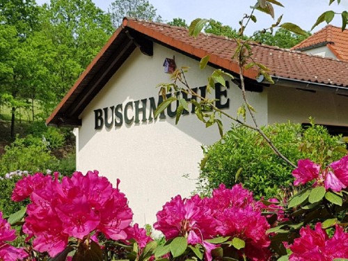 Ferielejlighed - 4 personer -  - Dorfstraße - 09306 - Königsfeld