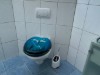 Bild 31