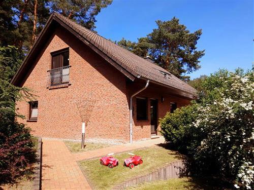 Ferienhaus - 10 Personen -  - Freester- Str. - 17509 - Lubmin